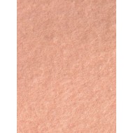 Fleecy Web (Brushed Fleece Cotton)